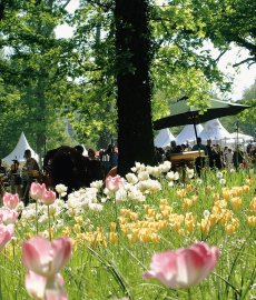 Hardenberg Klassika 2016