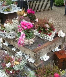 Pflanzenmarkt im Herbst - Hessenpark