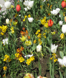 Gartenflair Schloss Bodelschwingh