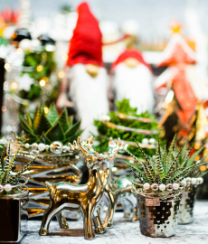 Knuspermarkt mit Kinder-Knusperland