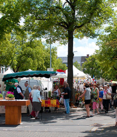 Französischer Markt Neuwied 2016