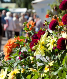 Traditionsfest mit grünem Markt 2017