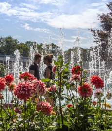 Thüringer Gartentage 2016