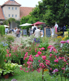 Romantic Garden Rittergut Remeringhausen 2016
