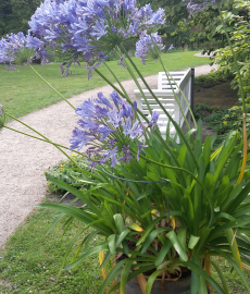 LebensArt Landgestüt Dillenburg