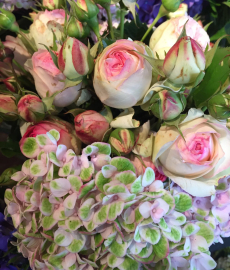 LebensArt Aschersleben