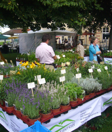 17. DIGA Gartenmesse Iffezheim