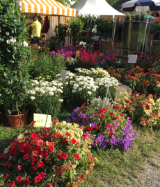 Abgesagt - 4. DIGA Gartenmesse Wolfegg