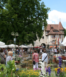 19. DIGA Gartenmesse Schloss Beuggen