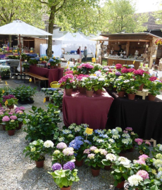 2. Altdorfer Gartenzauber 2017
