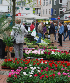 Blumen- und Gartenmarkt Essen Steele 2017