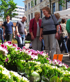 Blumen- und Gartenmarkt Herten 2017