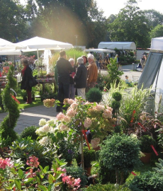 Ambiente & GARTEN Wernigerode