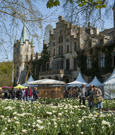 Ippenburger Frühlingsfestival