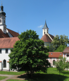 Allgäuer Gartentage Buxheim