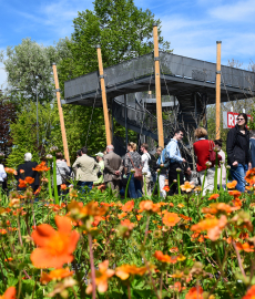 Gartenschau Natur in Pfaffenhofen a. d. Ilm 2017