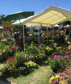 DIGA Gartenmesse Kloster Wiblingen