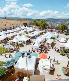 Verschoben auf 16.-18.10.20 - Landpartie Festung Ehrenbreitstein