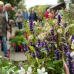 Traditionsfest mit grünem Markt 7