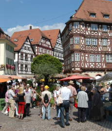 Blumenmarkt Mosbach