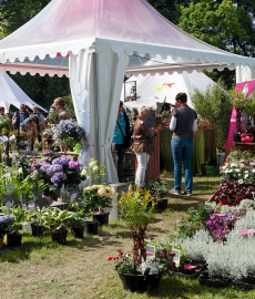 Faszination Garten auf Schloss Weingartsgreuth