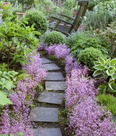 Frühlings-Gartenmarkt