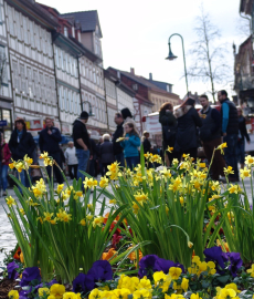 Northeimer Frühlingserwachen - Haus & Gartentrends