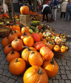 Kürbismarkt Mosbach