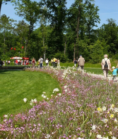 Landesgartenschau Bad Schwalbach