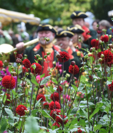 Das Fürstliche Gartenfest Schloss Wolfsgarten