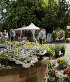 Romantisches Gartenfest auf Schloss Dhaun