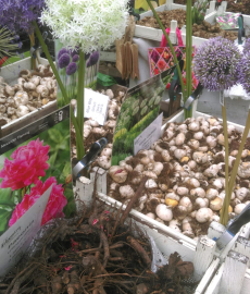 Gartenzauber Gut Bissenbrook