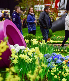 Chemnitzer Frühling