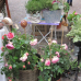 Blumenmarkt Mosbach 6