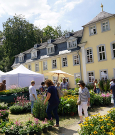 Abgesagt - GartenRomantik Wertheim