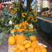 Kürbismarkt Mosbach 6