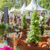 Garten- und Landhaustage - La Villa Cotta 2