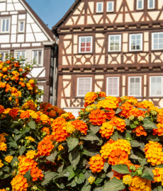 Gartenmesse, Keramika & Bauernmarkt in Nagold