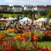 Gartenmarkt Sommer-Blüten-Träume 1