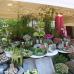 Gartenmarkt Sommer-Blüten-Träume 2