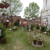 Altdorfer Gartenzauber 6