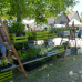 Altdorfer Gartenzauber 3