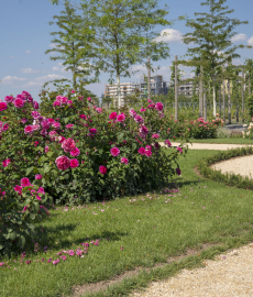 Bundesgartenschau Heilbronn