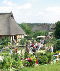 Pflanzenmarkt am Kiekeberg