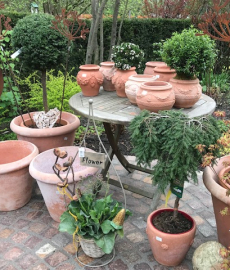 Frühlings-Gartenmarkt
