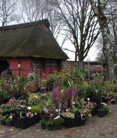 Pflanzenmarkt am Kiekeberg