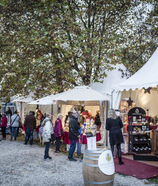 Winterzauber Ludwigsburg