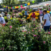 Verschoben auf 14./15.8.21 - Gartenmarkt \