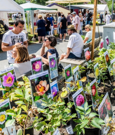 Verschoben auf 14./15.8.21 - Gartenmarkt \