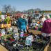 Spezialmarkt du und dein garten 7